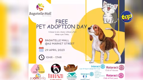 Ce samedi : Le Rotaract Club de Vacoas organise une journée d’adoption d’animaux de compagnie