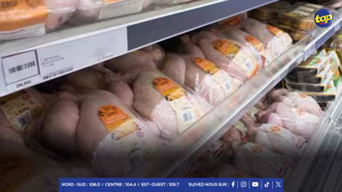 Importation de poulet surgelé : Les permis délivrés en deux jours pour palier à la pénurie