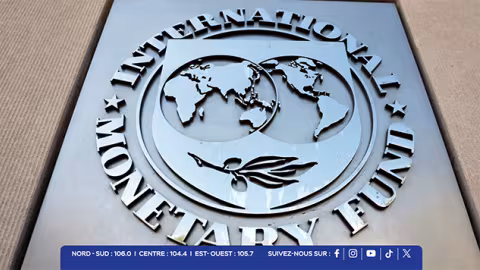 FMI Maurice 2025