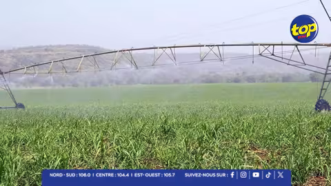 Irrigation Authority : Mise en place de restrictions temporaires sur l’approvisionnement en eau destinée à l’irrigation dans plusieurs localités du Nord à partir du 3 novembre. 