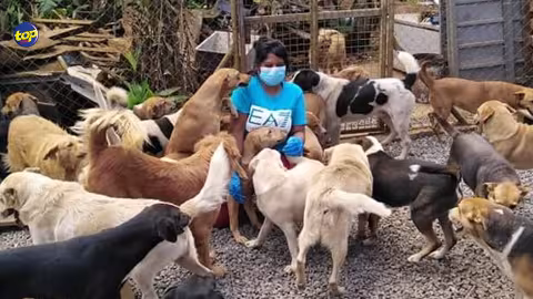 Journée mondiale des animaux: “Je demande à chacun de faire preuve de compassion envers ceux qui n’ont pas de propriétaire”,   plaide la secouriste Pretty Sacchi