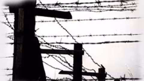 Journée de la mémoire de l’Holocauste et de la prévention des crimes contre l’humanité