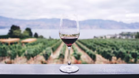 Job de rêve : Un vignoble paye Rs 480 000 par mois pour boire et vivre sur sa propriété