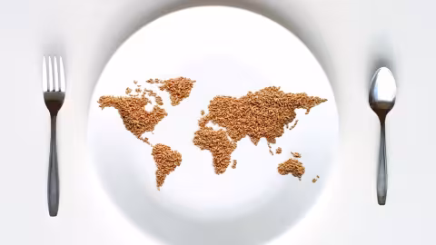 Journée mondiale contre la faim