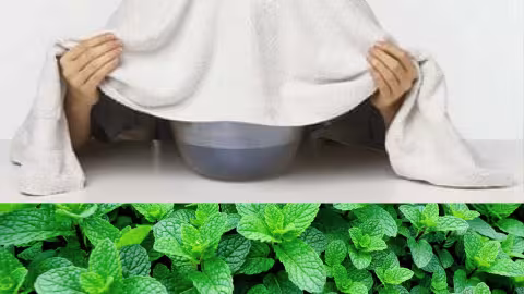 La menthe pour soulager les voies respiratoires