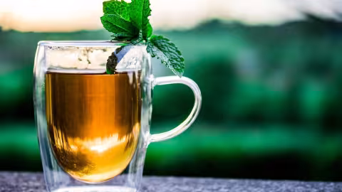 La menthe pour mieux digérer