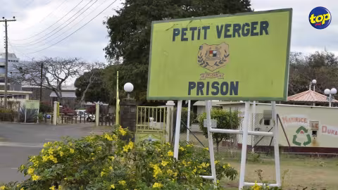 À la prison de Petit Verger : de l’héroïne et du cannabis retrouvés dans le potager