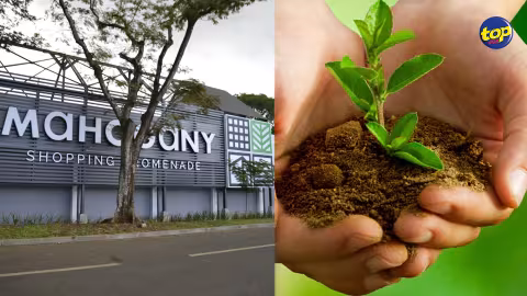 Rotary Club : Distribution de plantes endémiques au centre commercial de Mohagany à Beau Plan à partir de 10 heures  dimanche prochain