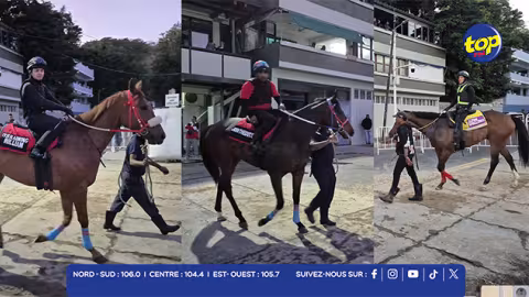 Hippisme : quelques images de la séance d’entraînement de ce mardi 22 juillet