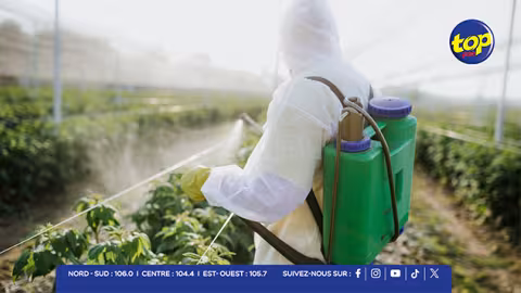 Cancer et pesticides : Arvin Boolell annonce une étude épidémiologique et une campagne de sensibilisation