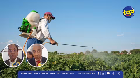 pesticides