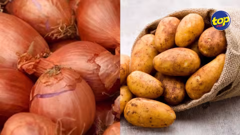 Consommation : Le prix de la pomme de terre et de l’oignon passe à Rs 25 le demi-kilo au lieu de Rs 20