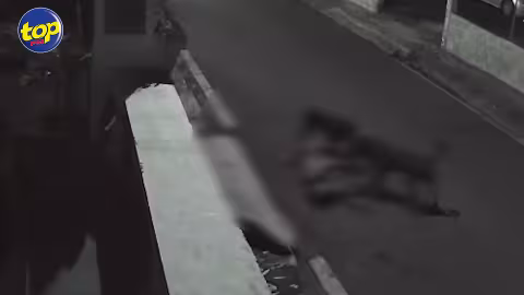 Agression d’un comptable par deux rottweilers: le propriétaire arrêté hier soir mais refuse d’indiquer l’endroit où se trouve les chiens