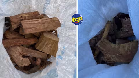 Dans la région de Balfour : Sept individus, dont un mineur, arrêtés pour vol de bois de santal