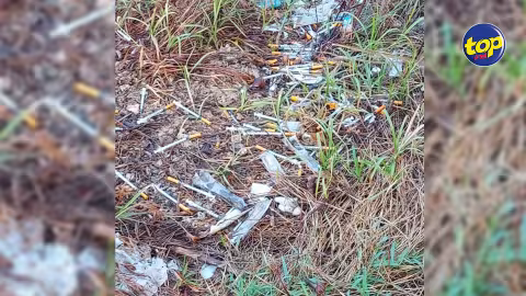 À Bel Air, Caroline : plusieurs dizaines de seringues déjà utilisées découvertes dans un terrain en friche
