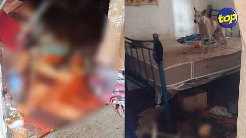 Restes humains retrouvés dans une maison à Plaine Magnien : La cause du décès n’a pu être déterminée… la police pense que les chiens ont dévoré le cadavre