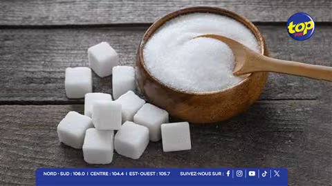 Prix du sucre : le Mauritius Sugar Syndicate fixe la tonne à Rs 24 095, l'État maintient un revenu garanti de Rs 35 000 pour les petits planteurs
