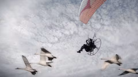 Sacha Dench, “le cygne humain”, tombe du ciel, mais ne meurt pas