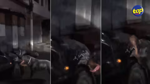 Agression d’un habitant de Port-Louis par deux rottweilers : « Dans le passé, les deux molosses se sont attaqués à des voitures », affirme le député Osman Mahomed