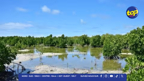 Wetlands Bill : Un cadre légal renforcé pour sauvegarder les zones humides