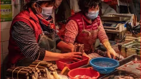 Covid-19 : la théorie d’une fuite d’un laboratoire est “hautement improbable”, estime l’OMS à Wuhan