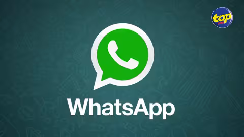 Nouvelles conditions d’utilisation : ceux qui ne s’y conformeront pas ne pourront accéder à leur compte WhatsApp