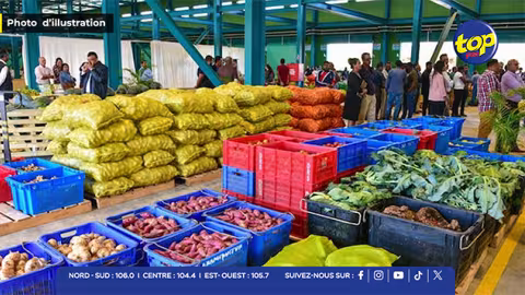 Le National Wholesale Market bientôt à Goodlands : « Cette décentralisation aurait dû être faite depuis longtemps », affirme Arvin Boolell